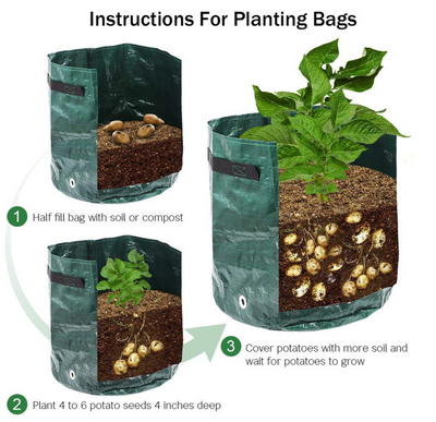 EZHarvest Vegetable Grow Bag
